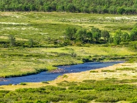 Grimsdalen